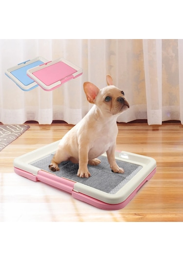 Taşınabilir Köpek Eğitim Tuvaleti - Kapalı Köpekler İçin Lazımlık, Kedi Kumu Kutusu Ve Ped Tutucu