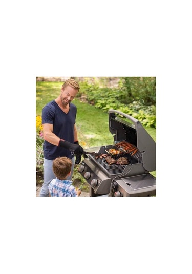 Weber Spirit Iı E-320 Gbs Gazlı Mangal Siyah