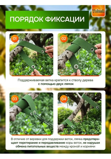 Yoltash Meyve Ağaçları İçin Dal Destekleyici 473581037