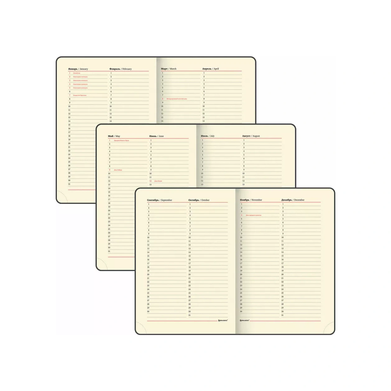 Brauberg Not Dated 160-page Planner & Organizer 17485566 Pembe