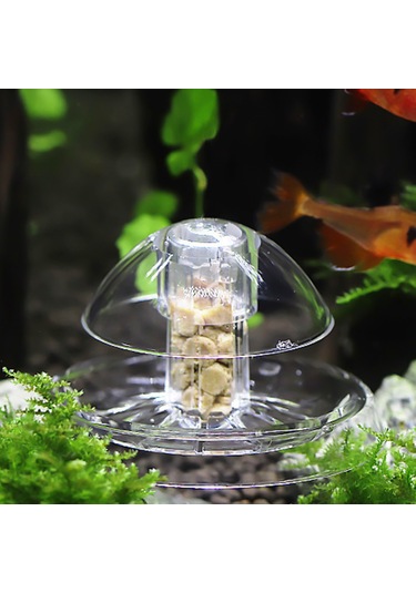 Xindoker Akvaryum Salyangoz Yakalayıcı: Zararsız Kimyasallar Kullanmadan Hızlı Ve Kolay Yakalama, 6cm Plastik Tuzak.