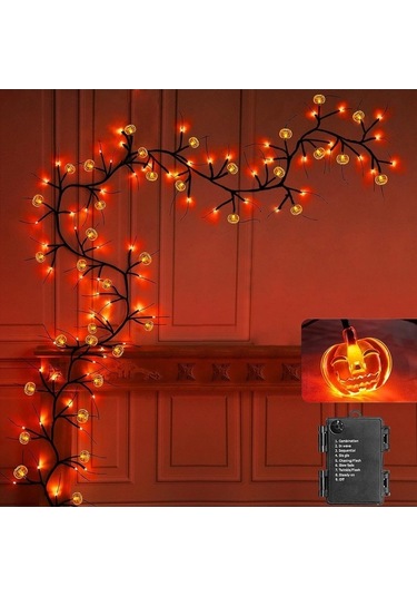 Dancemonkey Cadılar Bayramı Çelenk Işıkları 1.8m 54 Led 8 Mod Kabak Yarasa Örümcek Söğüt Asma Dal Işıkları - Kabak / Sıcak Işık, Kabak / Soğuk Işık Çok Renkli