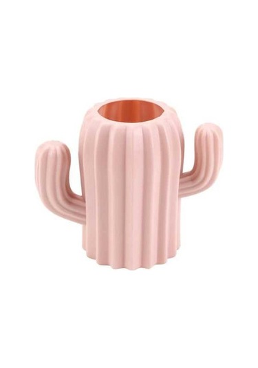 Ulzyvf Kaktüs Matt Paslanmaz Çanak Pembe Kuzey Avrupa Stili Sulama Dekor Hediye