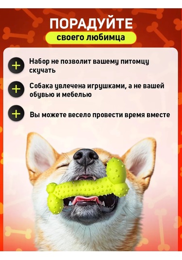 Tooth For Tooth Köpekler İçin Oyuncak Seti 248178972