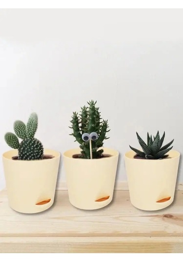 Interm Menekşe Fideleri İçin Tabaklı Çiçek Saksıları 5'li S 105636636