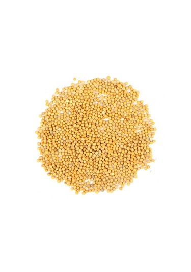 Sarı Hardal Tohumu 100gr. Elenmiş & Katkısız Taze Mahsül