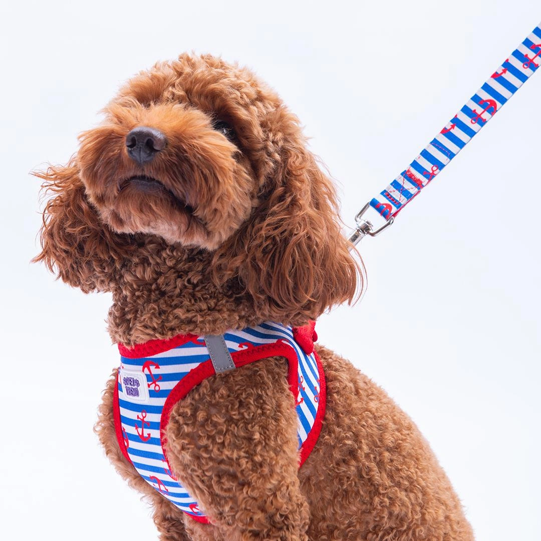 Sailor Mates Göğüs Tasması Ve Sevk Kayışı Tasma Seti Çapa Kedi Köpek Göğüs Tasması Seti Kırmızı