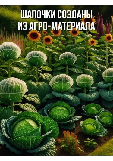 Domsadmarket Lahana Ve Ayçiçeği İçin Şapka 100 Ad 161626382