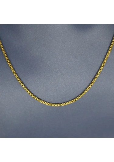 Hedea 2 Mm Gold Kadın Çelik Kolye 60 Cm Gold