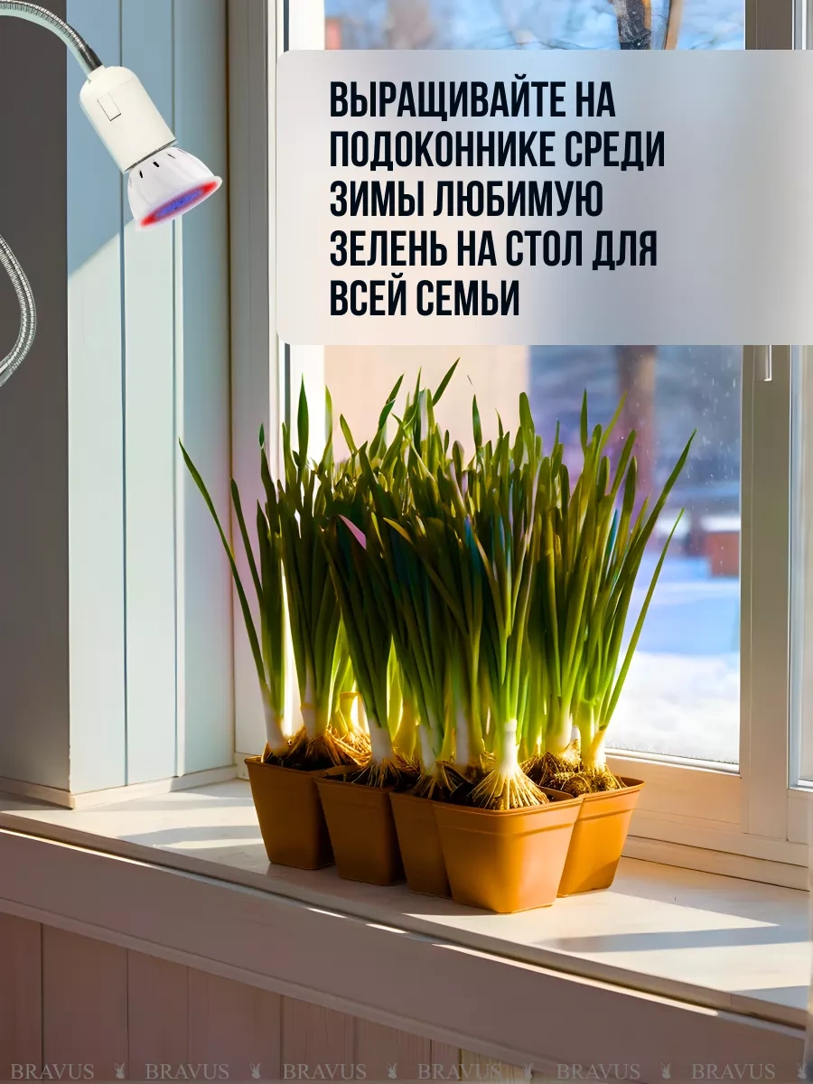 Bravus Fitolift Bitkileri İçin Fideye Uygun Uv Kelepçeli Lamba 196481213 Kırmızı