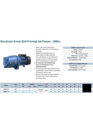 Grandfar Jswm110 Jet Pompa 1,5 Hp - Pirinç Çarklı