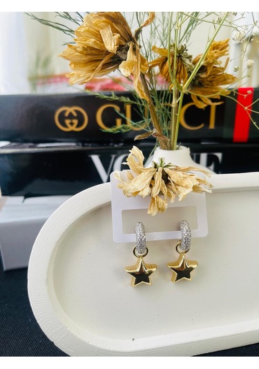 Zirkon Taşlı Yıldız Figür Sallantılı Çelik Küpe Altın - Gümüş