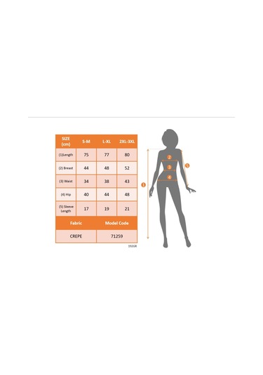 Kadın Kısa Kollu Yarı Balıkçı Yaka Tül Detaylı Kısa Janjan Krep Elbise Siyah