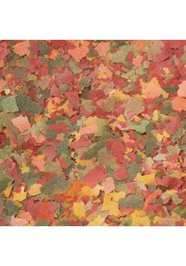 Dajana Basic Flakes Pul Balık Yemi 100 Gr (Açık)