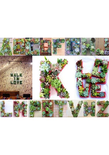 Suntek Magideal Alfabe Demir Tel Çelenk Çerçeve Etli Saksı Metal J