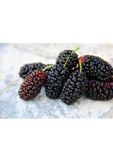 Çukurovalı Doğal Karadut Suyu 3 L