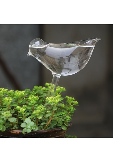 Ximistore9 El Ile Yapımı Cam Kuş Sulama Aleti Otomatik Süzme Fonksiyonuyla Ev Bitkileri İçin Pratik Sulama Aracı