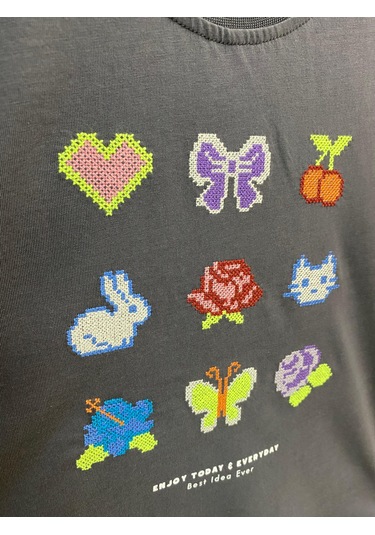 Aysbebe Nakış Desenli Kız Çocuk Tişört Füme 8920