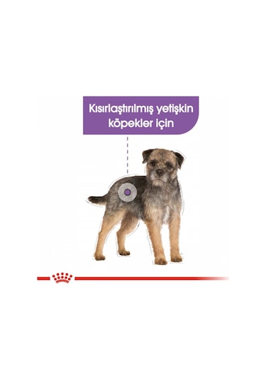 Royal Canin Sterilised Kısırlaştırılmış Yetişkin Köpek Maması 85 G