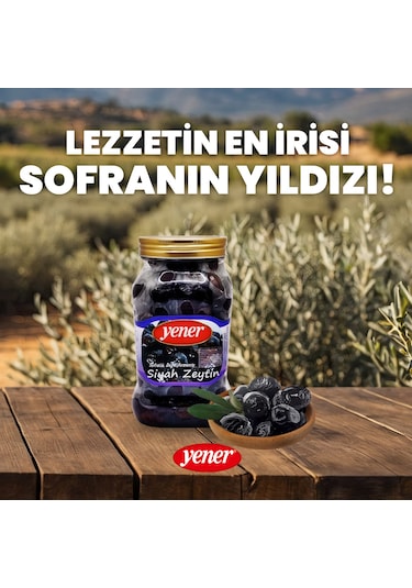 Yener Siyah Sele Zeytin 900 Gr Doğal Fermante Çok İri