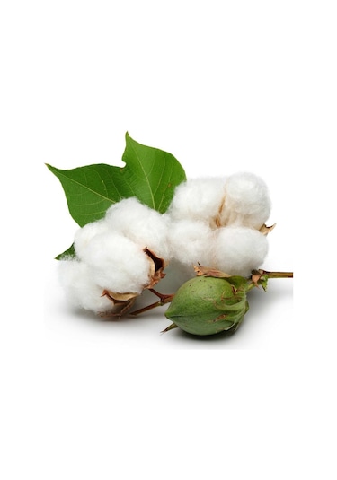 Uzunbebe 100X190 Opalin Cotton Ortopedik Yaylı Yatak 100*190 Ortopedik