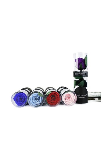 Trendooze Yıl Sonsuz Sonsuz Sevgililer Romantik Pembe Partisi Parfümlü Noel Korunmuş Kadınlar İçin Hediye Günü Günü Gül Gül Gül Gerçek Festivalleri Ev Düğün Dönümü Çiçeği Çiçeği Arifesi Anneler Pe Pembe