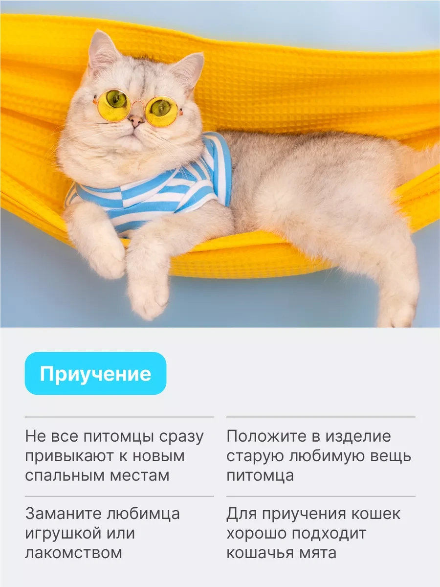 Rıch Breed Küçük Irk Kediler Ve Köpekler İçin Yumuşak Yuva 37659899