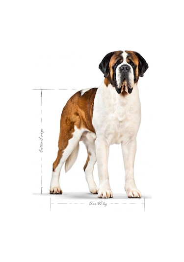 Royal Canin Giant Dev Irk Yetişkin Köpek Maması 15 KG