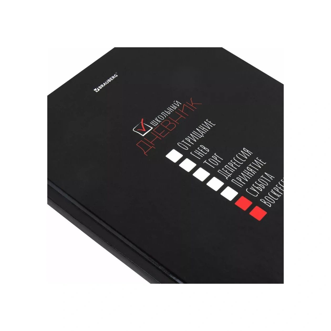 Brauberg Kız Ve Erkek Öğrenciler İçin 1-11. Sınıflar Okul Defteri Kırtasiy 220551112 Siyah