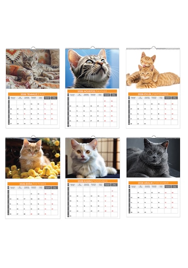2026 Kedi Planlamalı Duvar Takvimi-33x48
