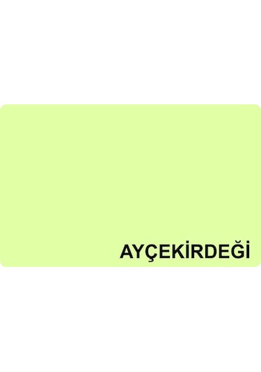 Su Bazlı Ahşap Boya Seti-Su Bazlı Ahşap Astarı+Boyası+Verniği+Rul