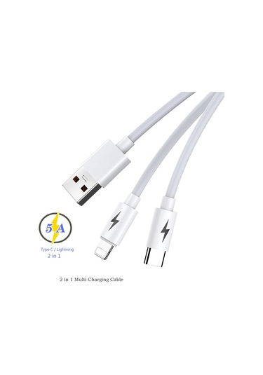 Bn93 iPhone Uyumlu Lightning Ve Type-c 2in1 Kablo 5 Amper Hızlı Şarj Fas