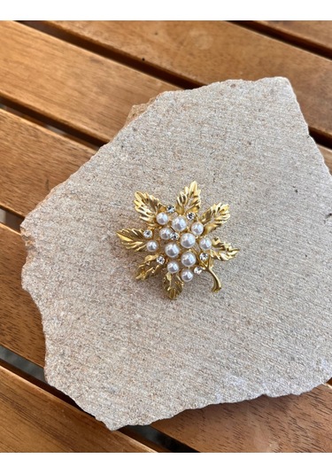 Taşlı Yaprak Broş Çok Renkli