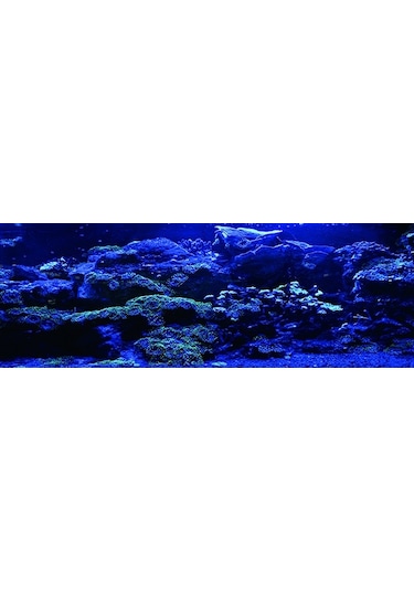 Kanki Pet Akvaryum Arka Fon Yapıştırma 185x65 Cm Kp1856525
