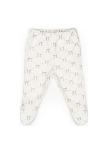 Bebek 3 Lü Takım Pantolon, Uzun Kol T-shirt, Şapka , Bebek Ve Yenidoğan Serisi - Csy8143 Taş