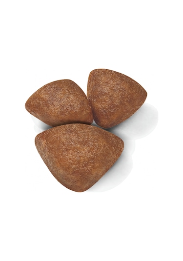 Royal Canin Mini Starter Yavru Köpek Maması 4 KG