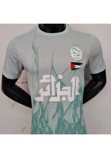 Snapbuy 24-25 Cezayir Özel Futbol Forması 3d Baskılı Kısa Kollu Tişört - Erkek Ve Kadınmavi Mavi