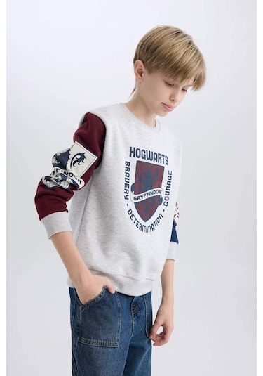 Defacto Erkek Çocuk Harry Potter Regular Fit Bisiklet Yaka Sweatshirt D4258a8nsgr400 Gri