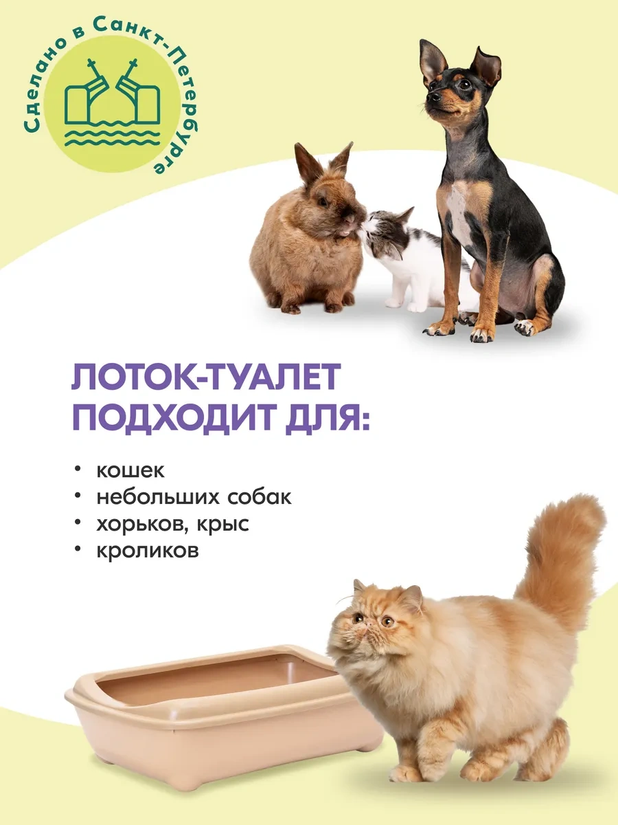 Pettails Kedi Tuvaleti Büyük Yüksek Kenarlı 43x30x12cm 370935590
