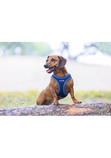 Beeztees Köpek Göğüs Tasması, Neopren, Mavi, Xs, 30-35cm Çok Renkli