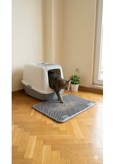 Kedi Kumu Paspası Kedi Tuvalet Önü Paspası 60x90 Cm