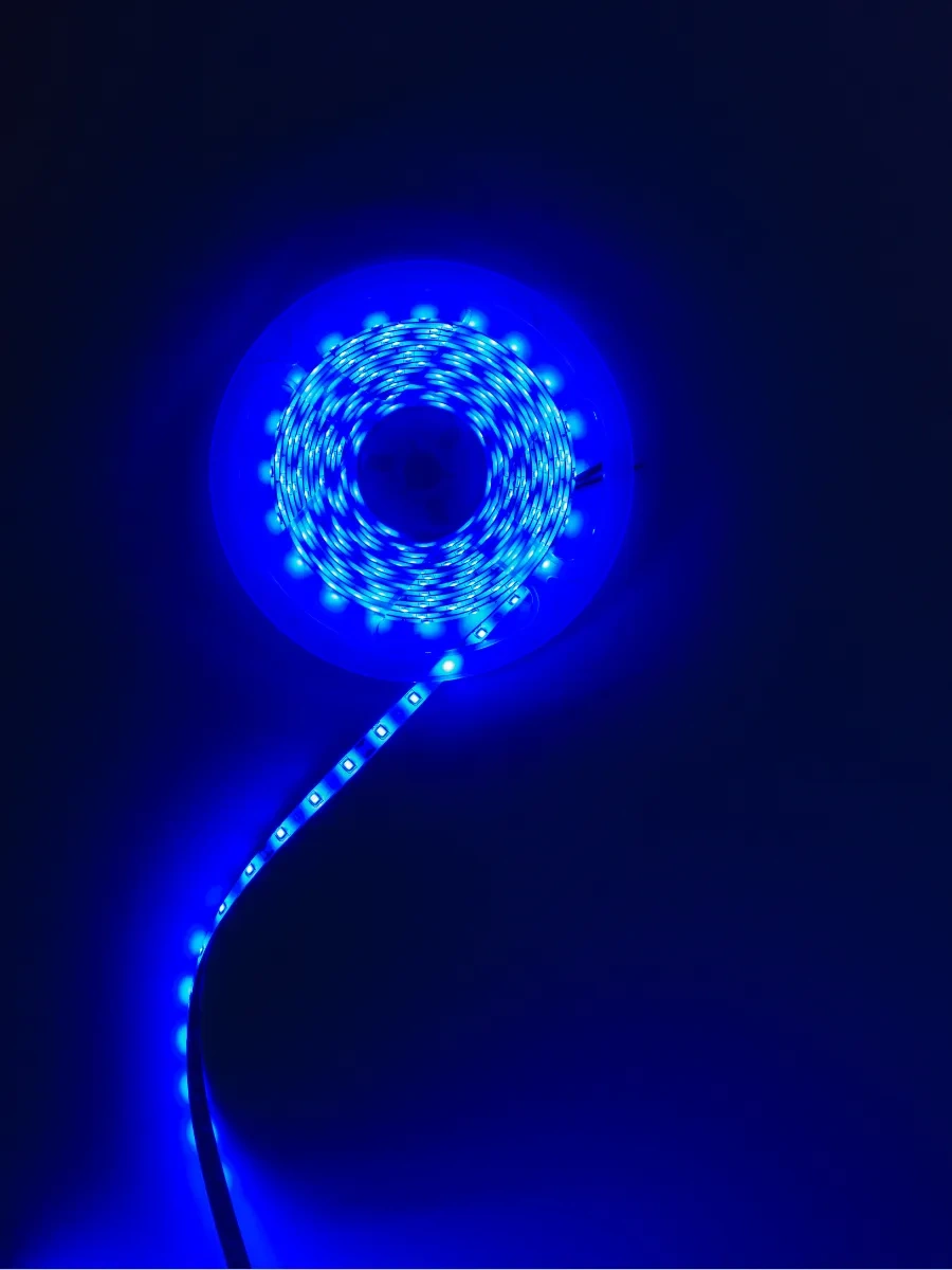 General Lighting Systems 5m 12v Mavi Aydınlatma Suya Dayanıklı Ip65 Led Şerit 452983567 Mavi