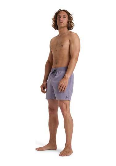 Billabong All Day Lb Lila Erkek Deniz Şortu Mor