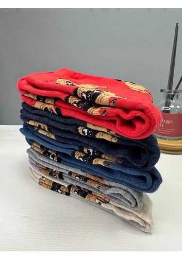 Homesocks Corgi Ayakkabıları 5 Çift Çorap Seti 227036463 Gri