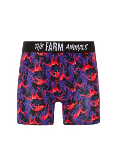 Farm Animals Red Monkey Desenli Boxer