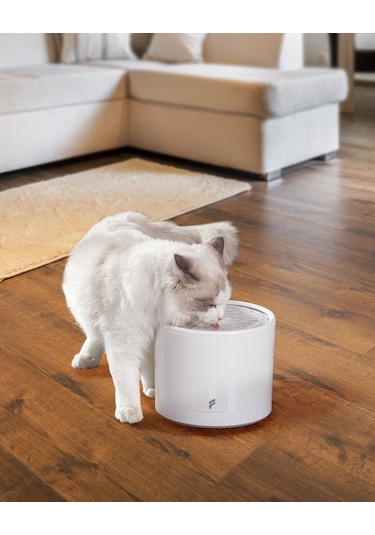 Fonri Kedi Köpek Akıllı Otomatik Su Pınarı