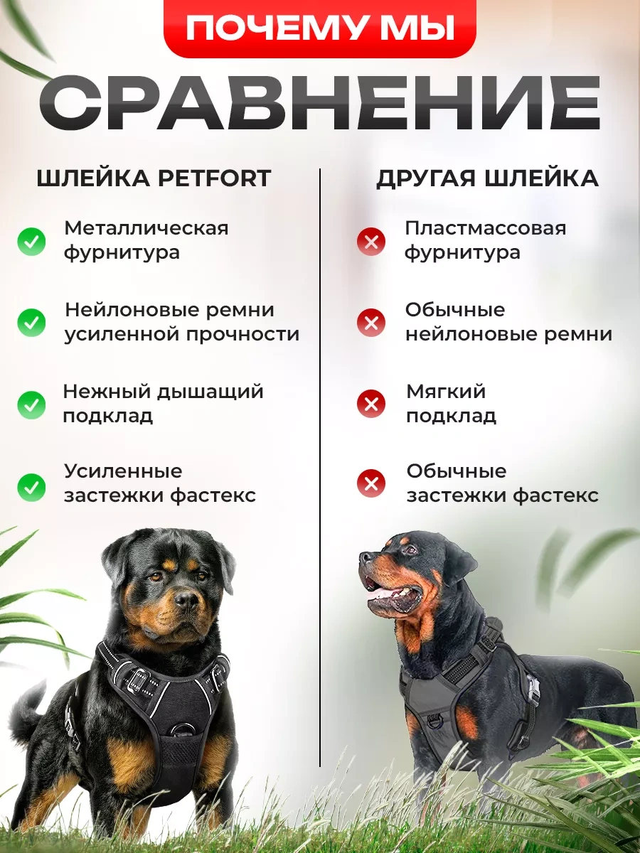 Petfort Orta Ve Büyük Irk Köpekler İçin Anatomik Koşu Kayışı 175588727 Kırmızı