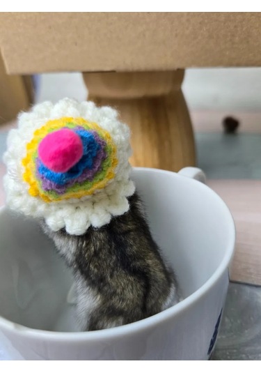 Moonx Renkli Hamster Şapkası. 272413531