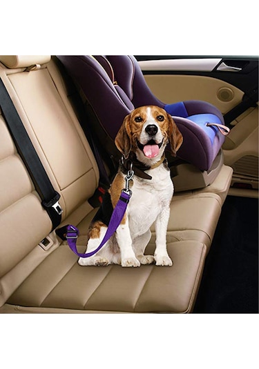 Ankaflex Evcil Hayvan Araç  Emniyet Kemeri