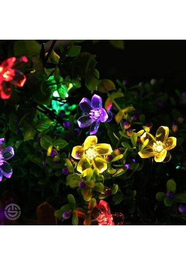 Technosmart 50 Ledli 8 Modlu Solar Çiçekli Rgb Bayçe Aydınlatma D Çok Renkli